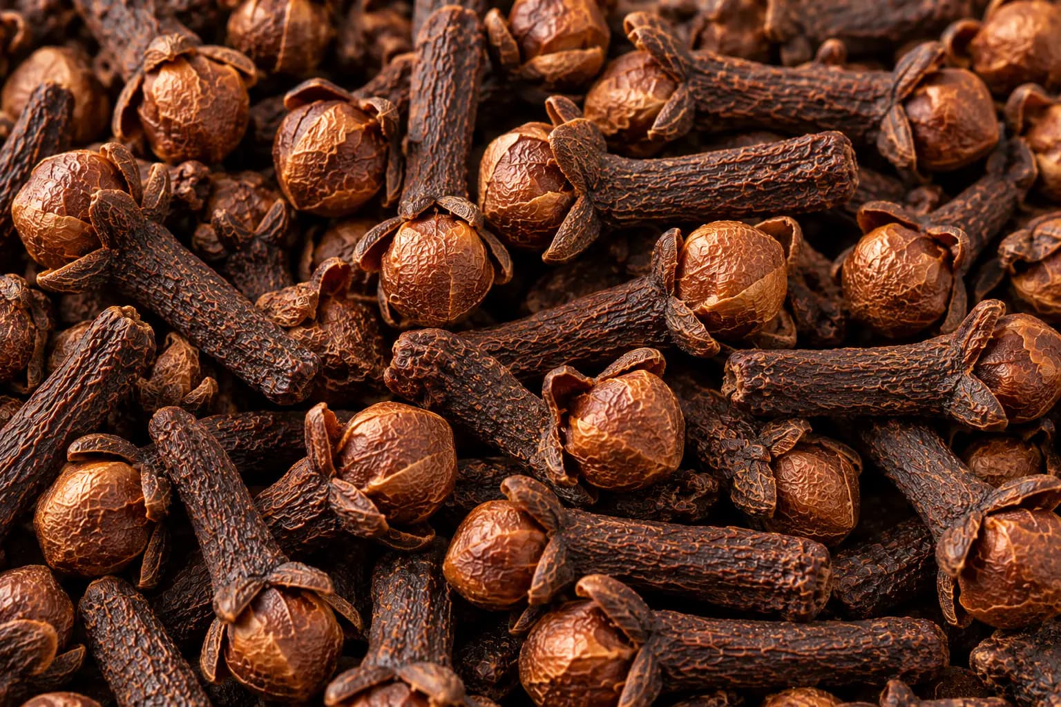 Cloves (Syzygium aromaticum) sourced from Idukki, Kerala — photo 2 of 4