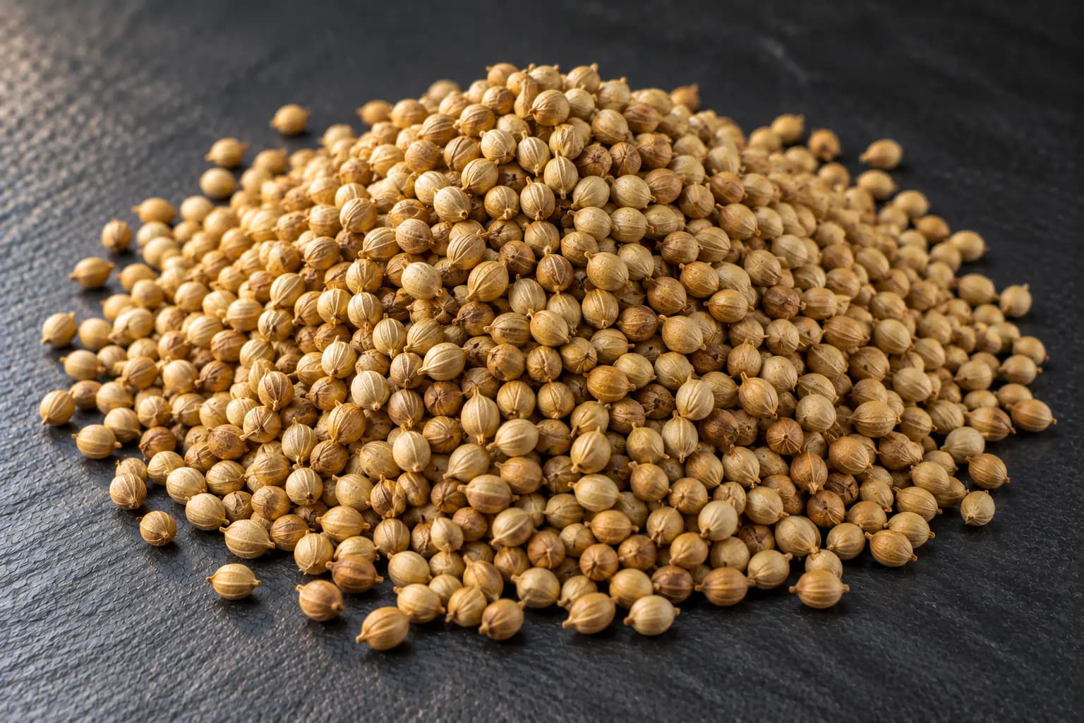 Coriander Seeds (Coriandrum sativum) sourced from Guna, Madhya Pradesh — photo 1 of 4