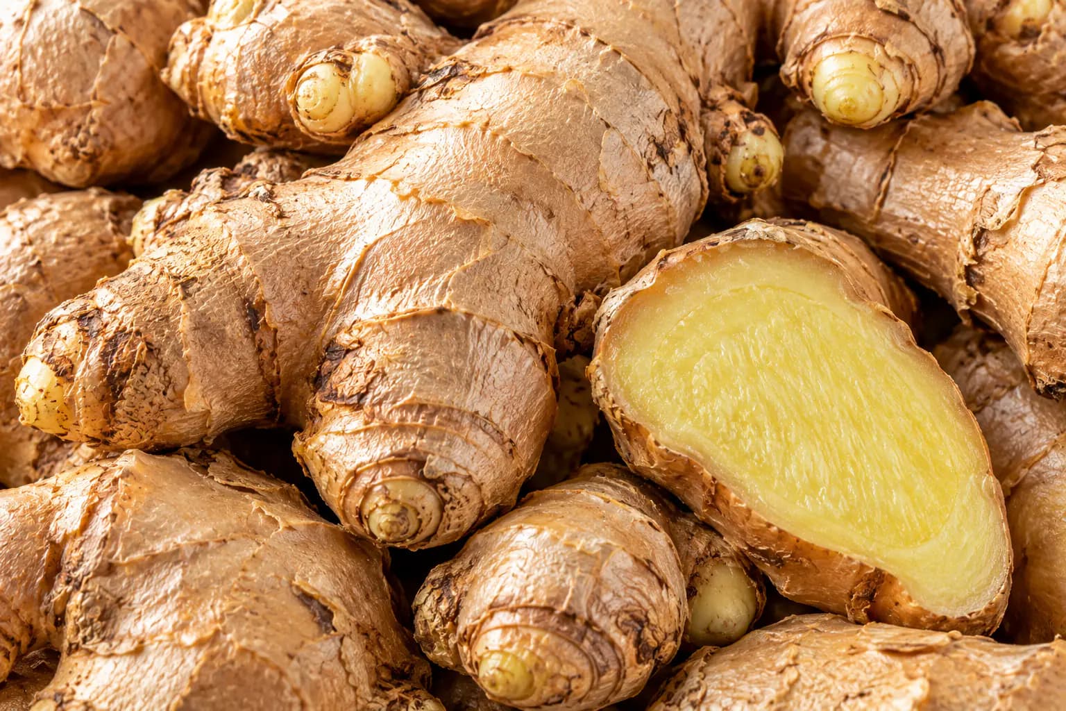 Fresh Ginger (Zingiber officinale) sourced from Idukki, Kerala — photo 2 of 4