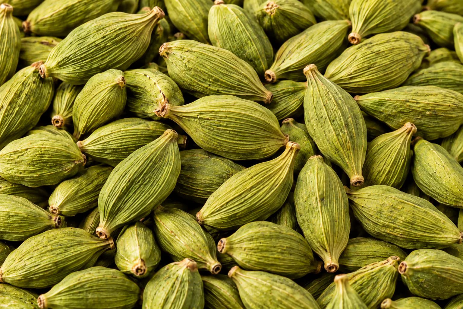 Green Cardamom (Elettaria cardamomum) sourced from Idukki, Kerala — photo 2 of 4