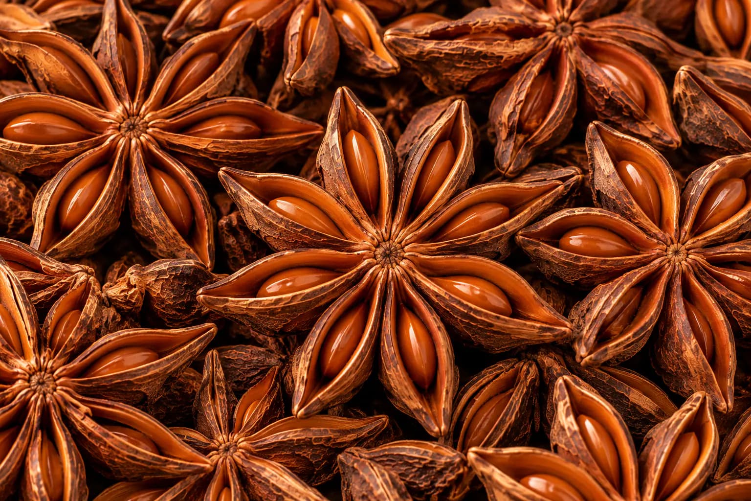 Star Anise (Illicium verum) sourced from Sourced & processed in India — photo 2 of 4