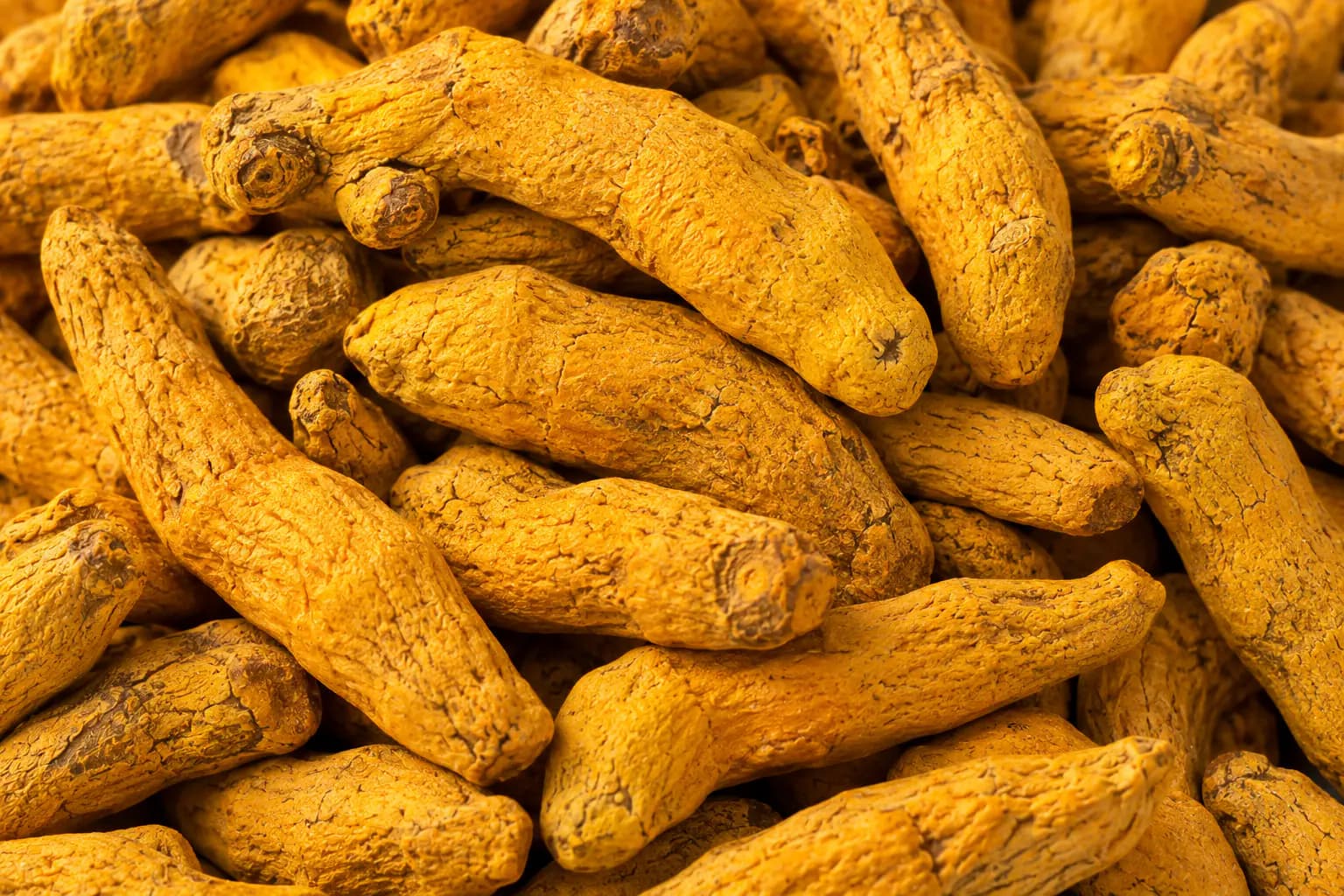 Turmeric Fingers (Curcuma longa) sourced from Erode, Tamil Nadu — photo 2 of 4