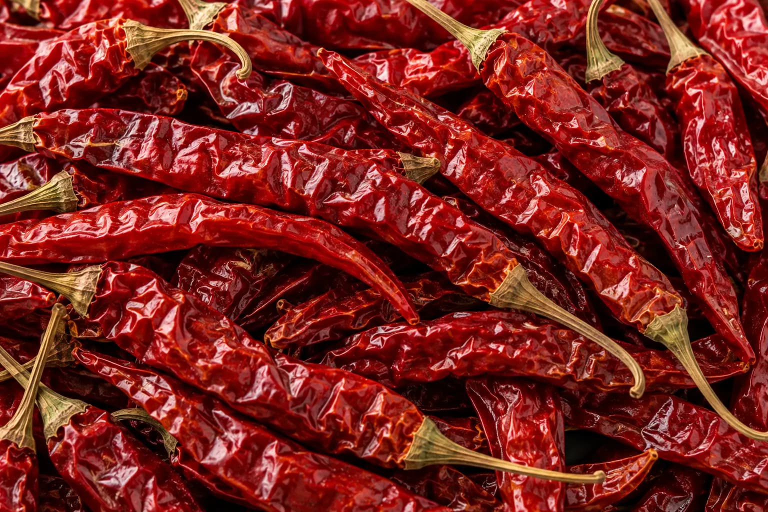 Close-up of dried red chillies